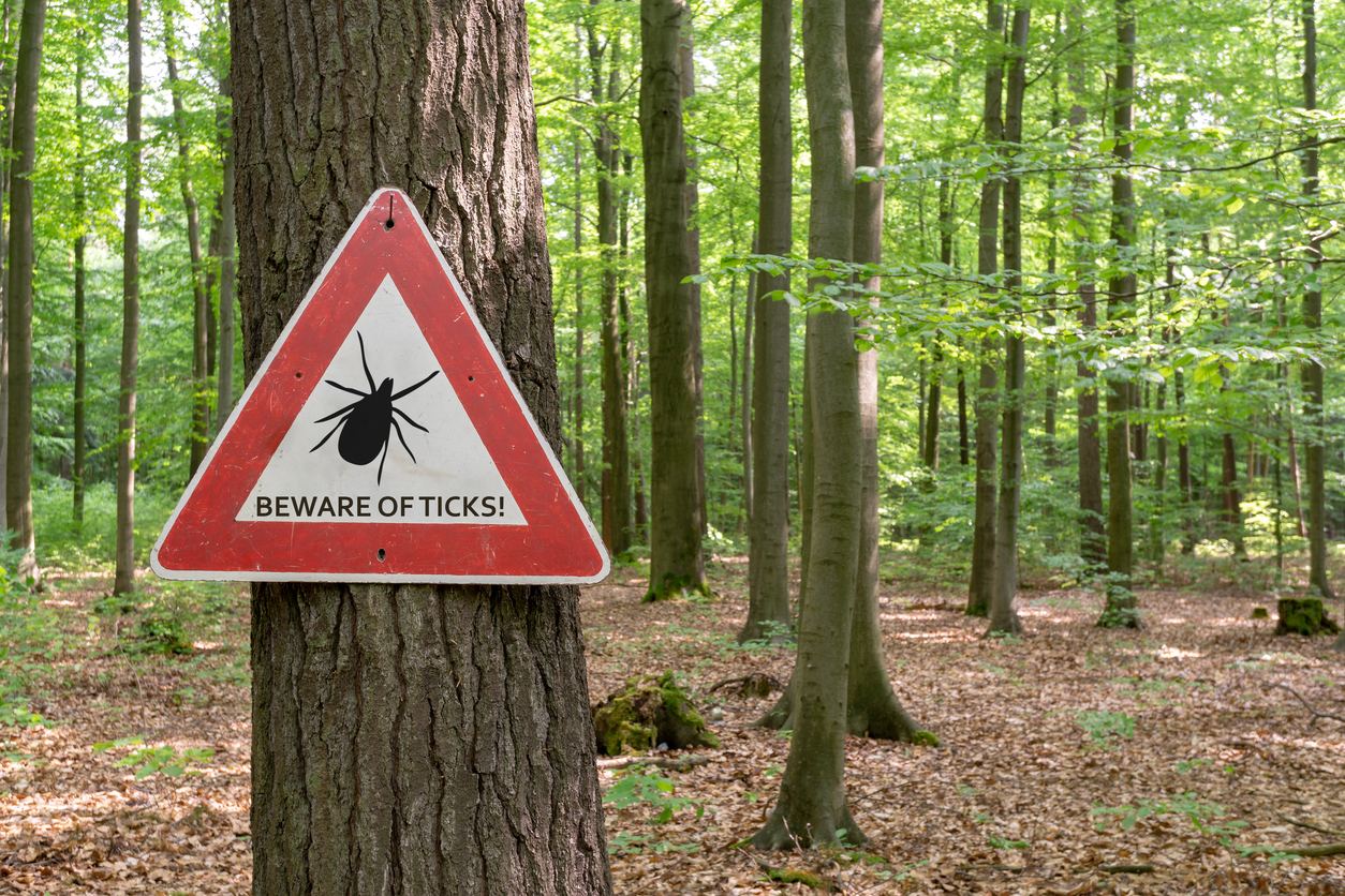 Tick Season