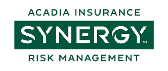 Synergy Logo
